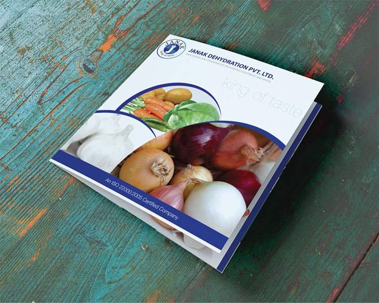 Brouchure Design comapny in himmatnagar