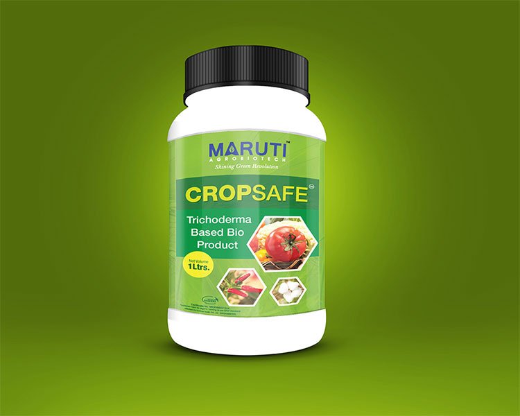 packaging design in himatnagar