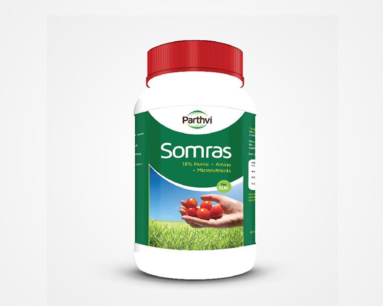 packaging design in himatnagar